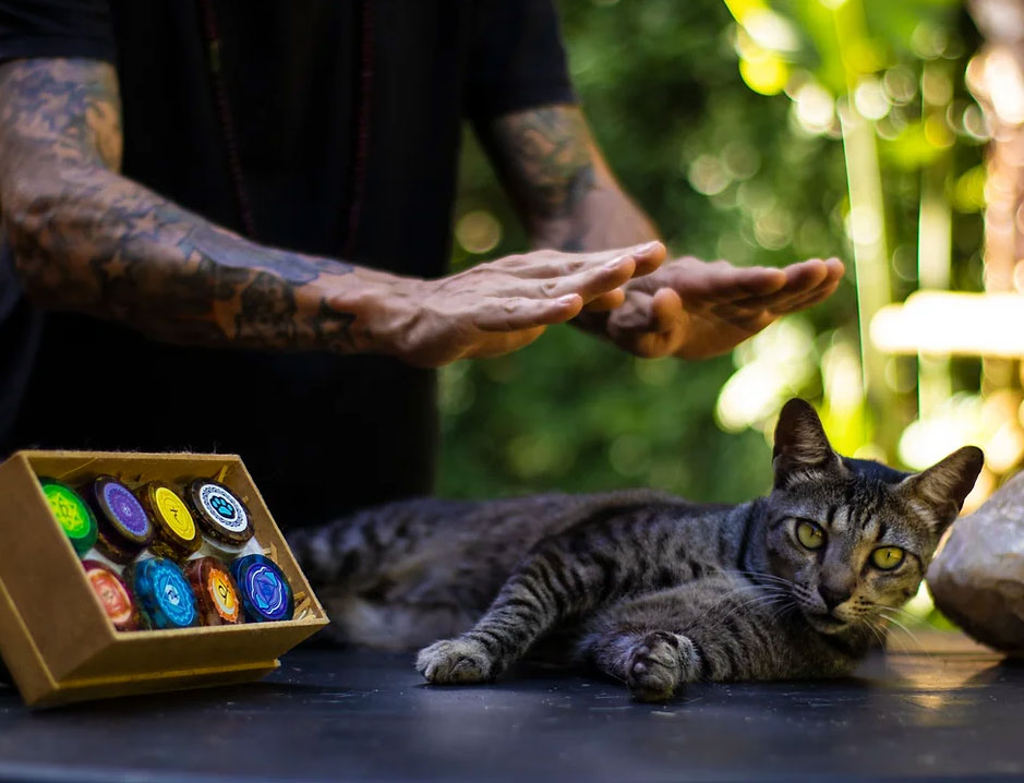 Reiki em Gatos: Como Funciona e Seus Benefícios
