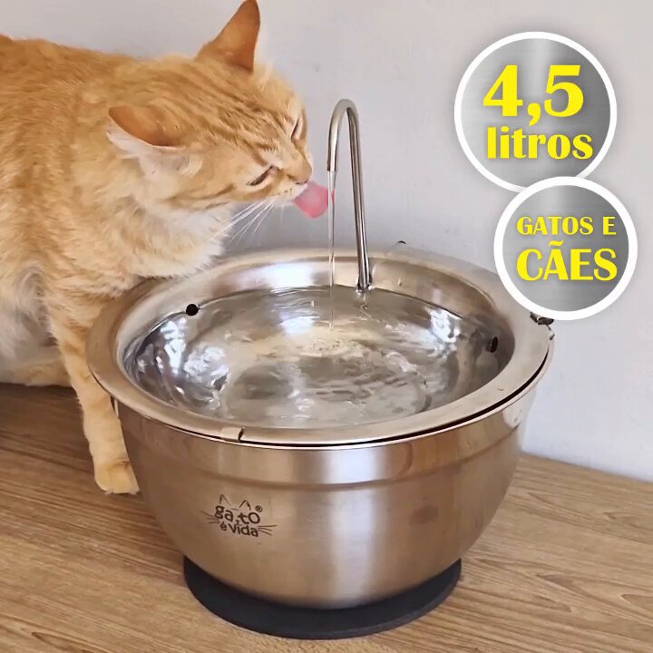 https://www.lojagatoevida.com.br/bebedouro-fonte-inox-45-litros-com-tapete-filtro-de-carvao-ativado-bivolt-gato-e-vida/?ref=DAN47253