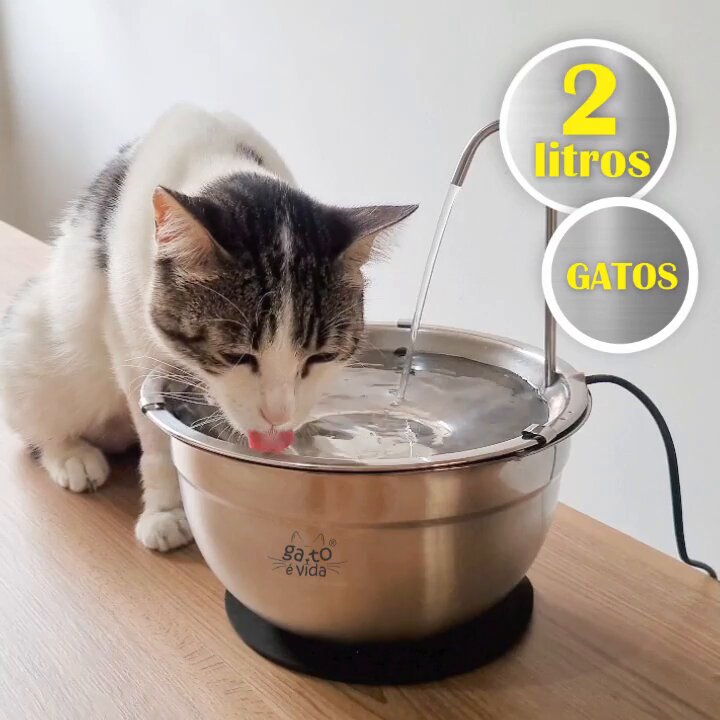 https://www.lojagatoevida.com.br/fonte-bebedouro-gato-e-vida-100-inox/?ref=DAN47253