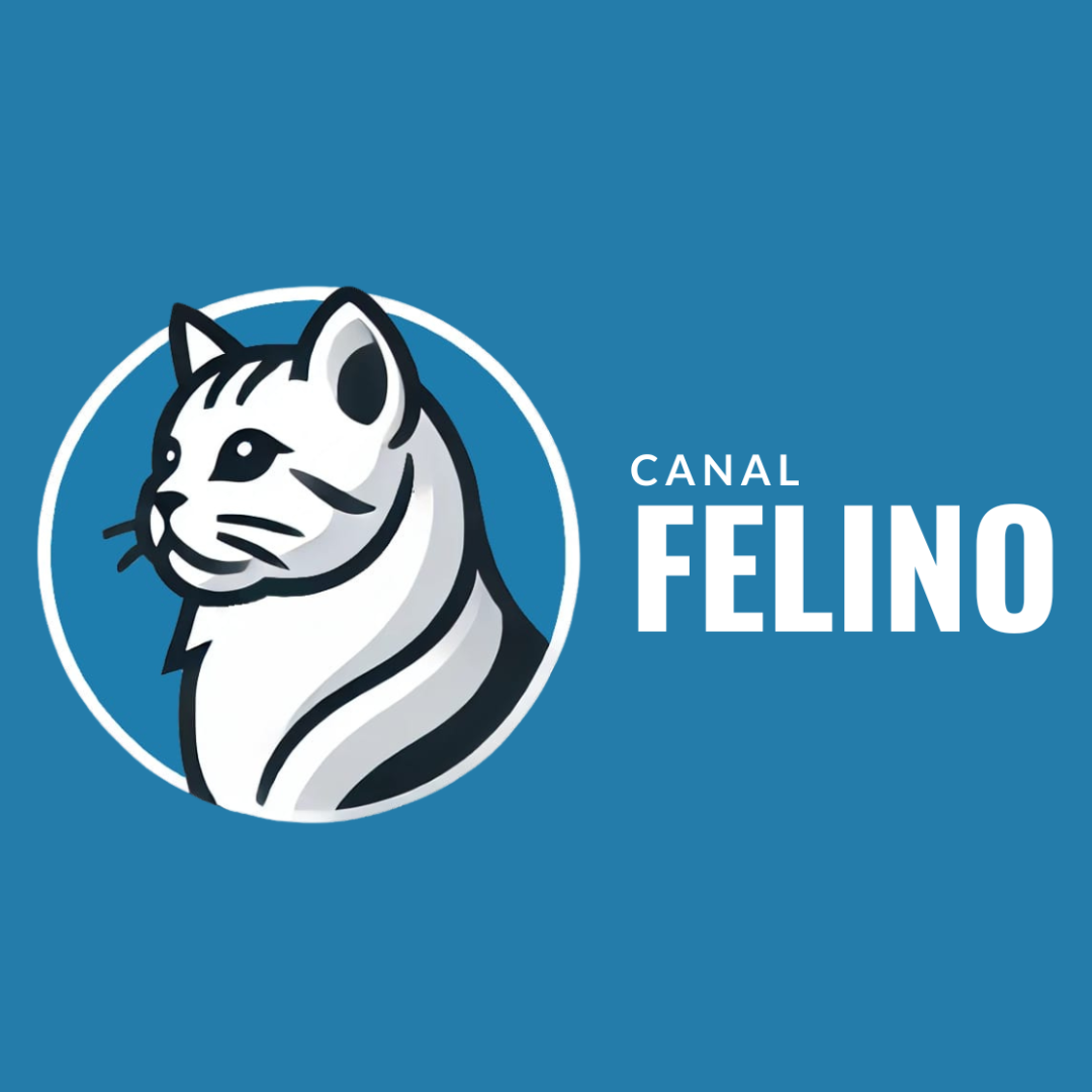 https://www.instagram.com/canalfelino/