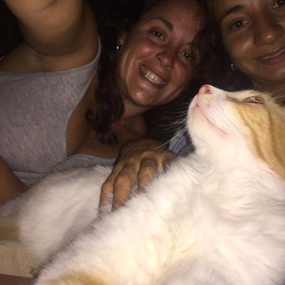 04a03541 Dee5 4ab5 9f3d D610681875fc Easy Resize.com