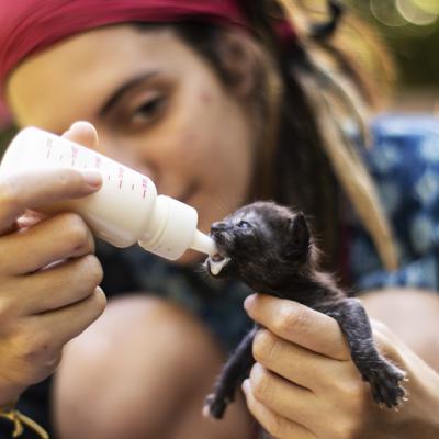 Img 3743 Copia Easy Resize.com